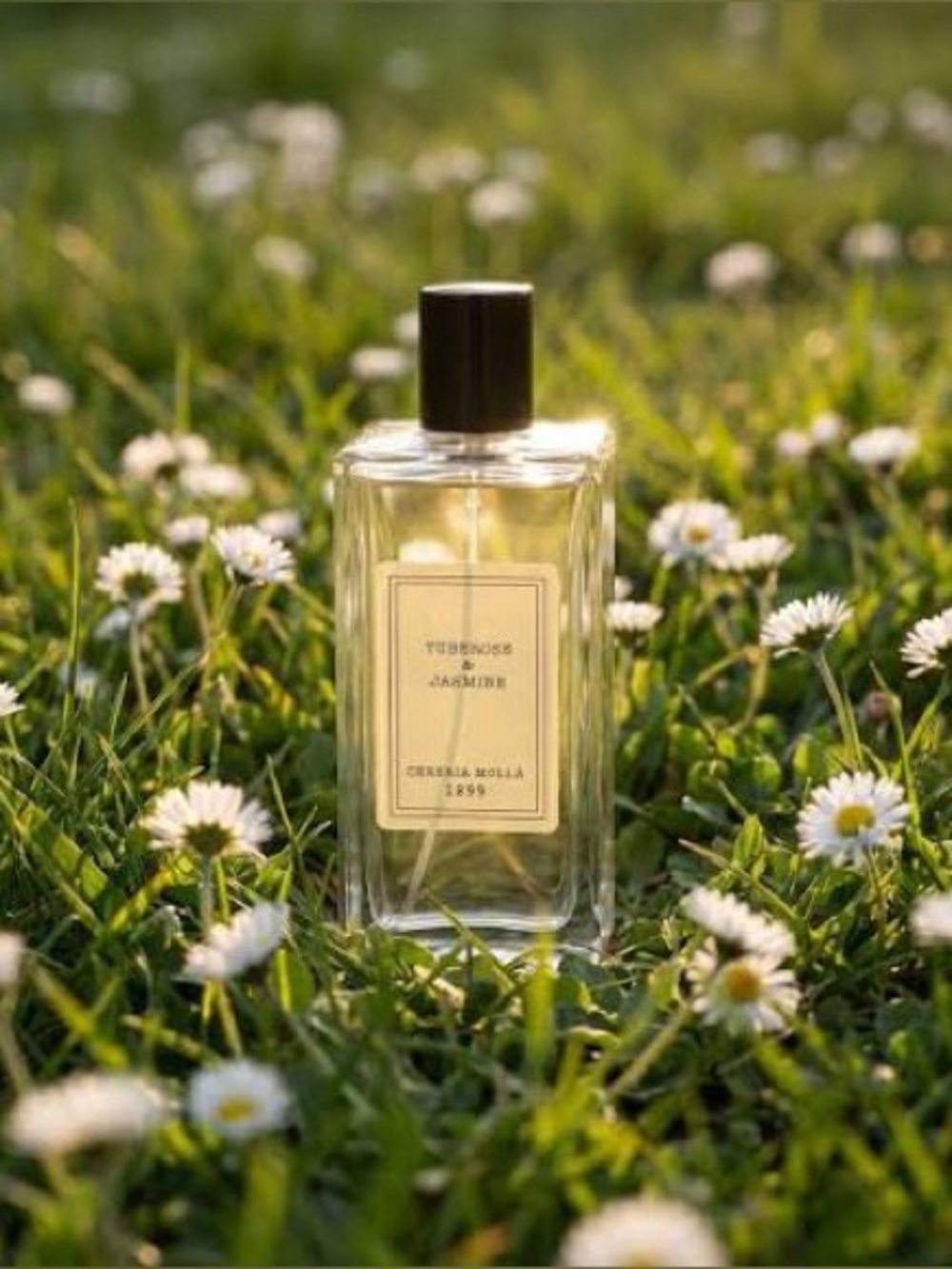 CERERIA MOLLA 1899 Tuberose & Jasmine